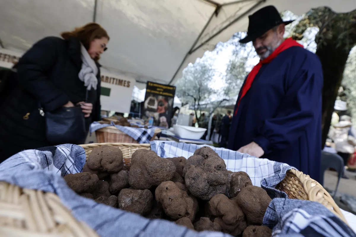 Nero Norcia: tutto pronto per l'attesissima mostra mercato del tartufo