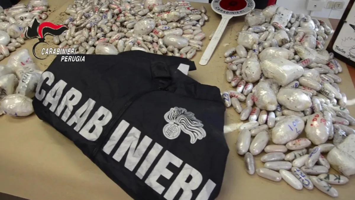 Perugia, il LASS nel 2024 ha analizzato oltre 400 kg di droga