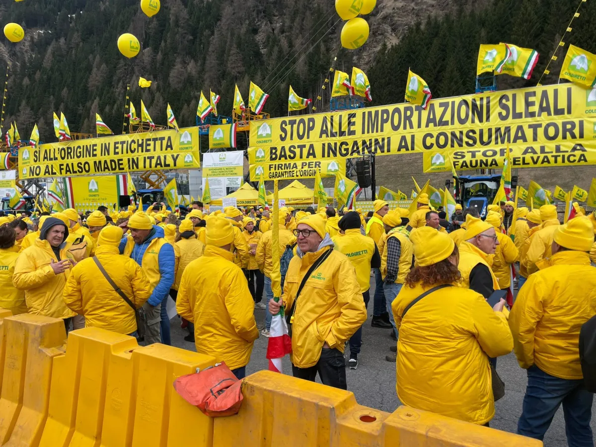 Olio extra Ue e allarme frodi, la denuncia di Coldiretti Umbria