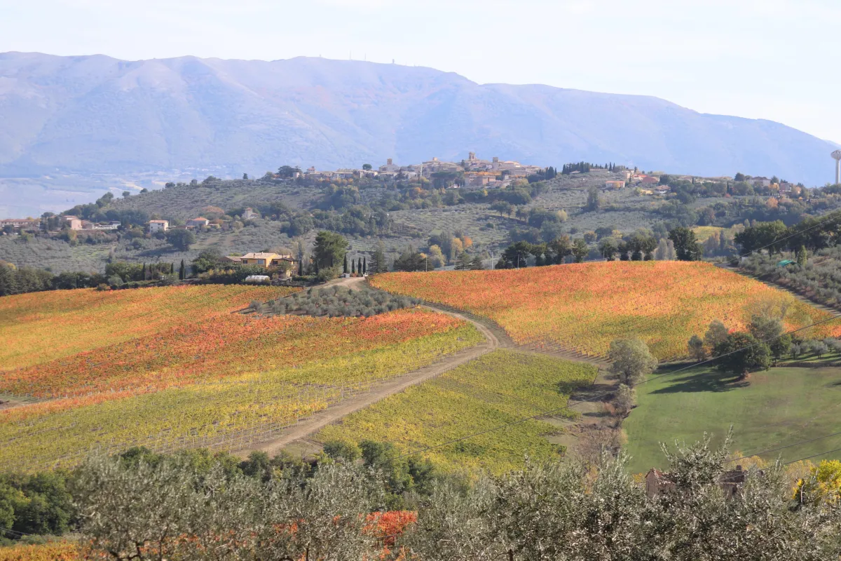 Gita romantica in Umbria: cinque mete imperdibili da vivere con il proprio partner