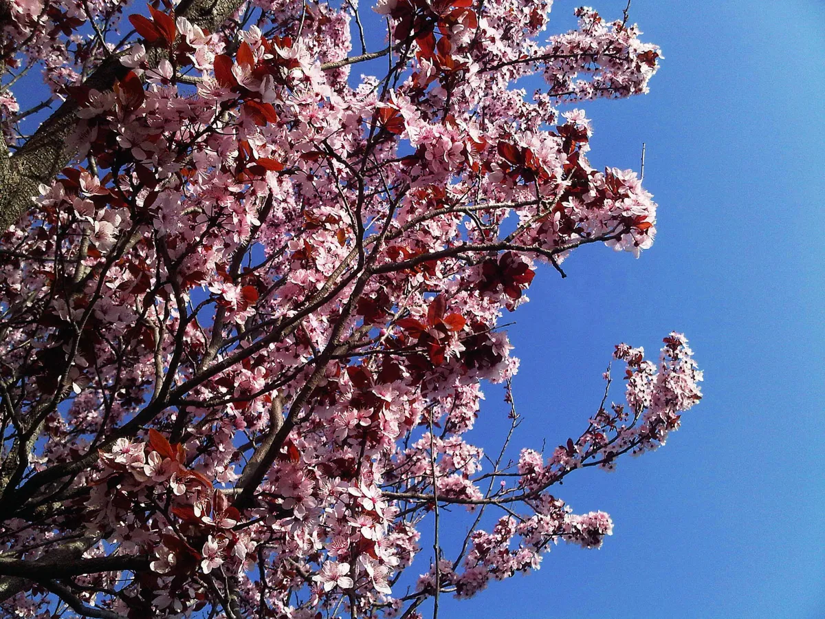 Il meteo in Umbria nella prima settimana di marzo spalanca le porte alla primavera, le temperature sfioreranno i 20°