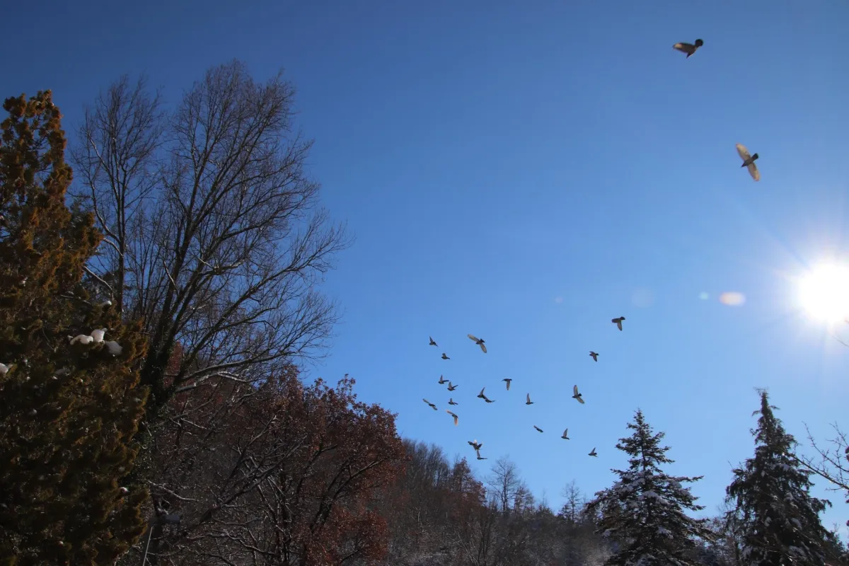 Gita di primavera in Umbria: i luoghi da non perdere