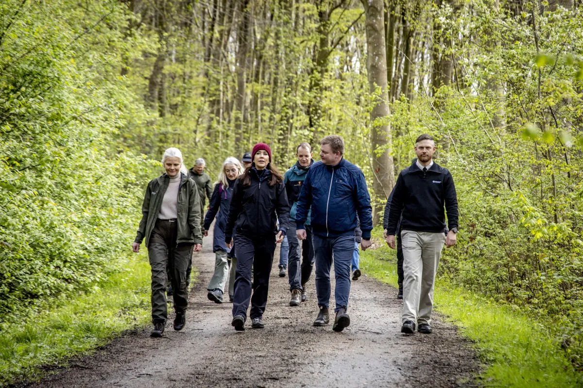 Umbria, ecco quali sono i migliori sentieri per fare trekking