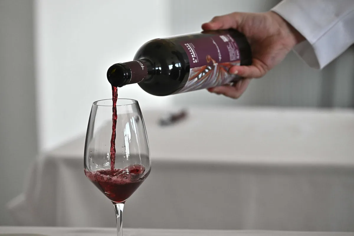 Umbria e il vino, le cantine da non perdere