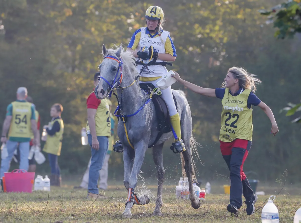 Endurance equestre in Umbria: oltre 14mila pernottamenti e milioni di impression