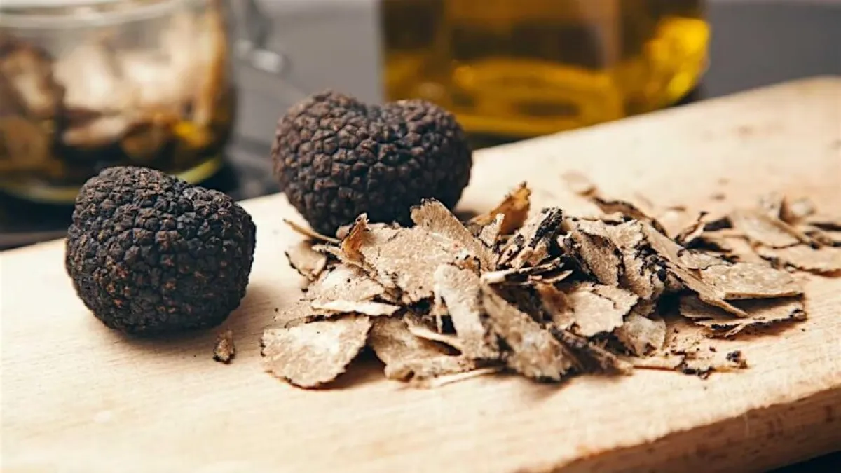 "Tartufo, Sigillo di Qualità": una giornata sensoriale a Sigillo dedicata al re del bosco