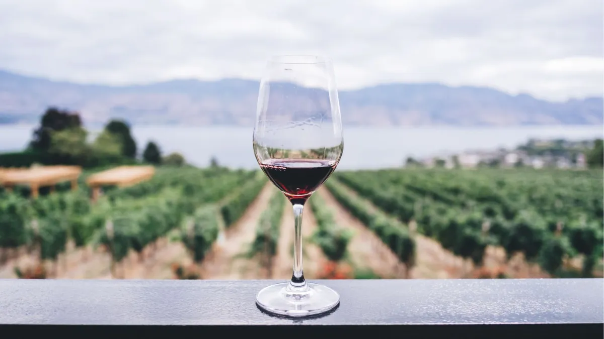 UmbriaWine 2025: il festival del vino umbro torna a Perugia con la terza edizione