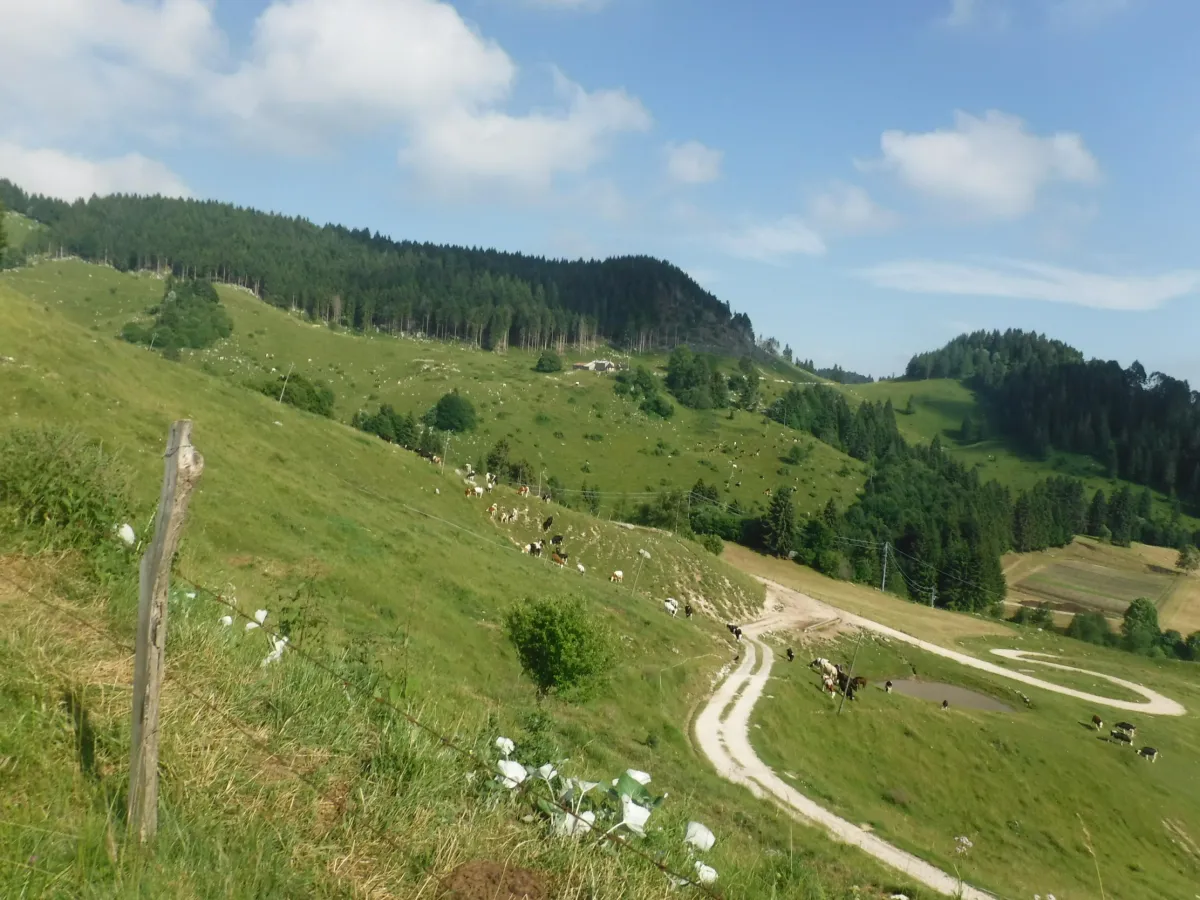 Caldo estremo e cambiamento climatico: l’Appennino non basta più a proteggere l’Umbria