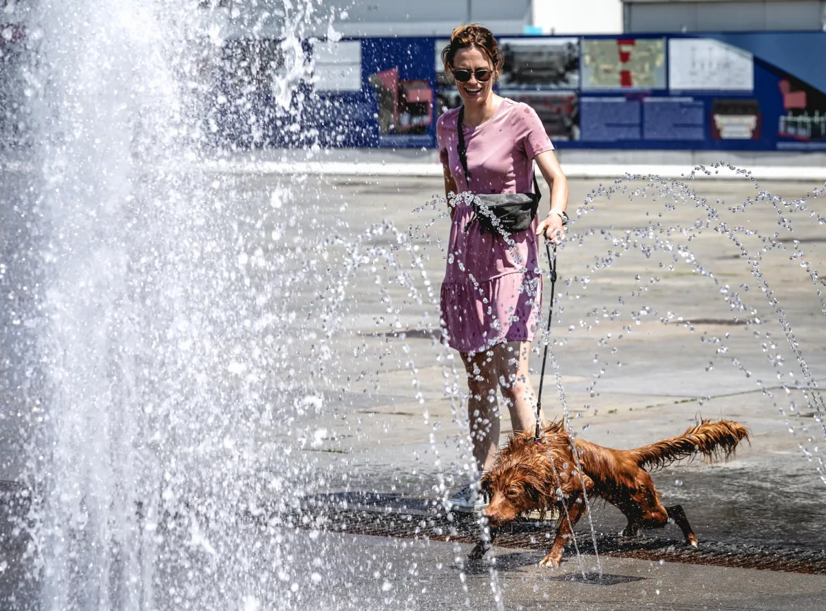 Allarme caldo in Umbria, dall'Enpa mettono in guardia: "Minaccia anche la salute degli animali"