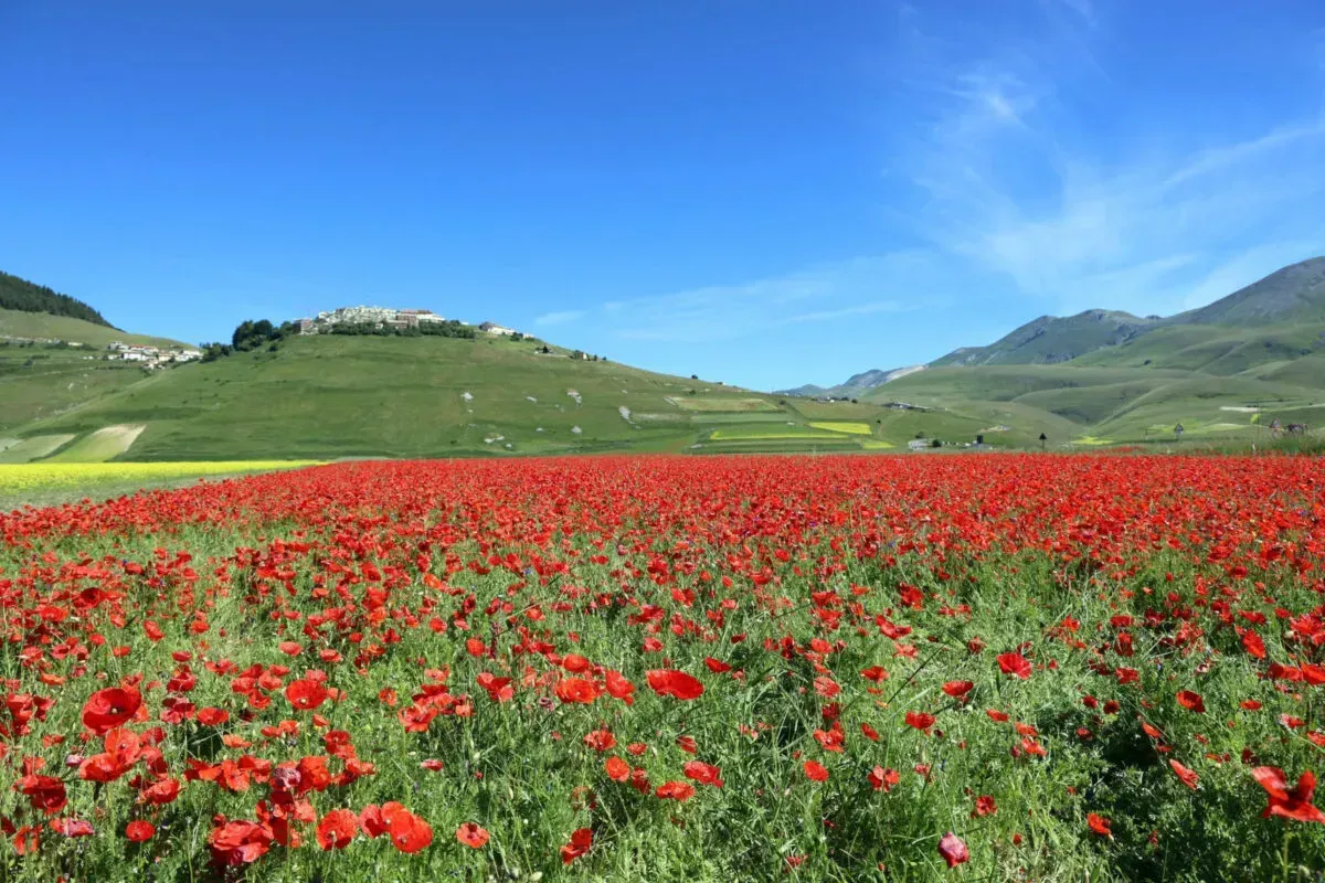 Mercati tipici, fiere rurali e feste del buon cibo: luglio in Umbria tra gusto e tradizione