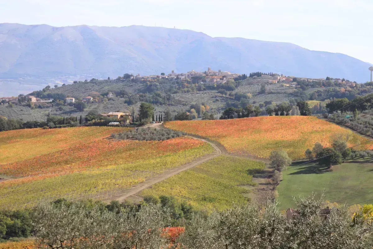 Poesia made in Umbria: chi sono i poeti che hanno reso eterna la regione con i loro versi