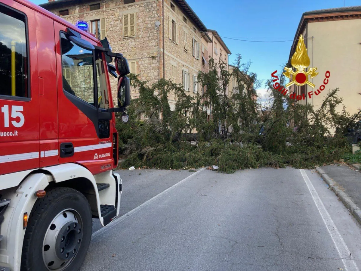 Orvieto, forte temporale e diversi danni: tanti gli interventi nella notte per il maltempo