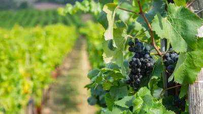 Enoteche umbre da non perdere: il gusto del territorio in un viaggio tra sapori, luoghi e persone