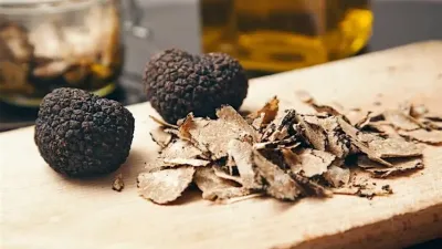 Tra pietra, boschi e sapori: gli indirizzi imperdibili dove assaporare il tartufo estivo in Umbria