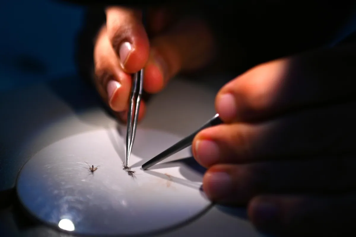 Con l'Umbria nel cuore e la scienza nel sangue: chi sono i grandi nomi della scienza made in Umbria