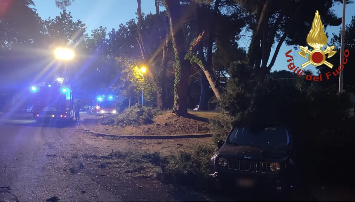 Terni, paura nella notte: albero si spezza e un grosso ramo cade sulle auto in sosta