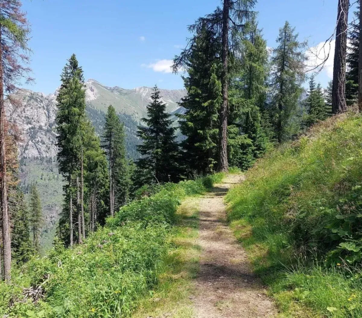 Agosto in Umbria tra natura e scoperta: cammini, sentieri e percorsi ideali per tutte le età, dal cuore dei boschi ai panorami più suggestivi