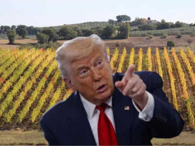Trump cambia le carte in tavola: l'Umbria naviga tra opportunità e incognite nel nuovo scenario commerciale