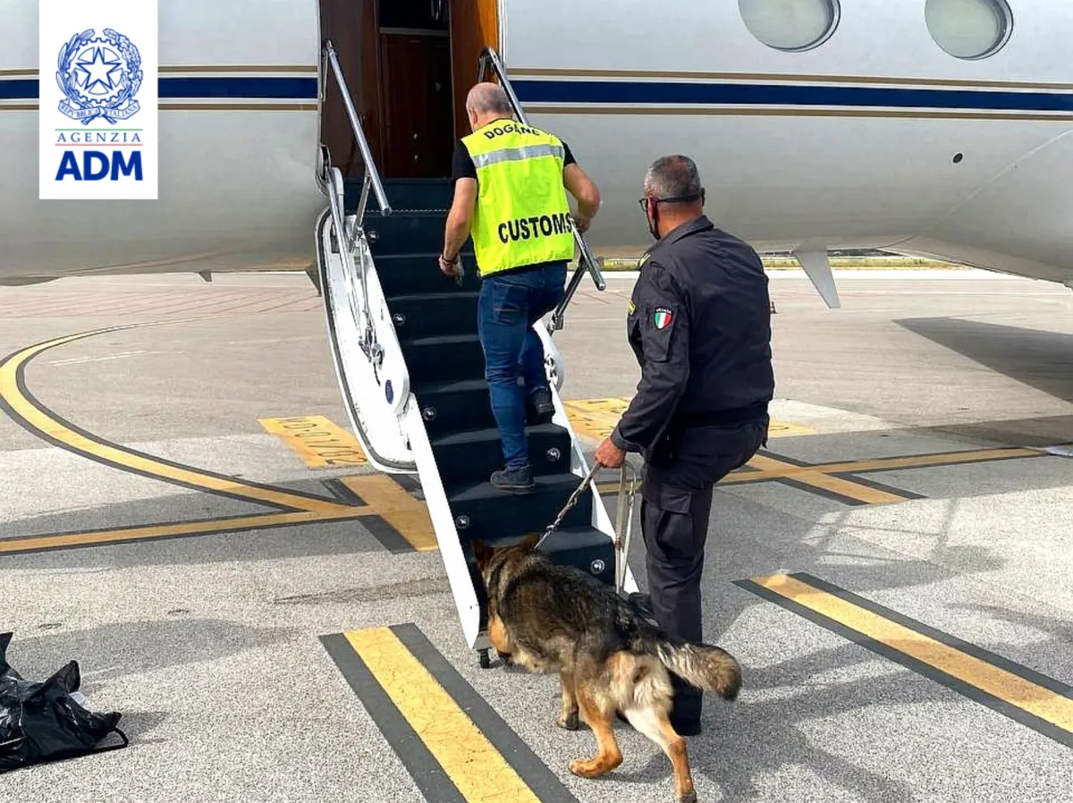 Aeroporto di Perugia, il “cash dog” fiuta valuta e irregolarità: bilancio positivo per Agenzia delle Dogane e Guardia di finanza nel 2025