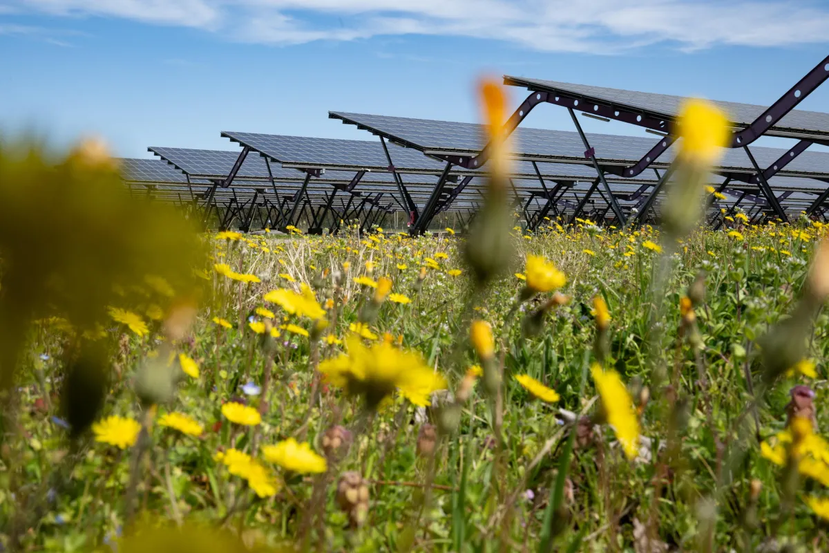 Umbria tra le ultime in Italia per impianti fotovoltaici. De Luca: "Necessaria legge per colmare il divario"