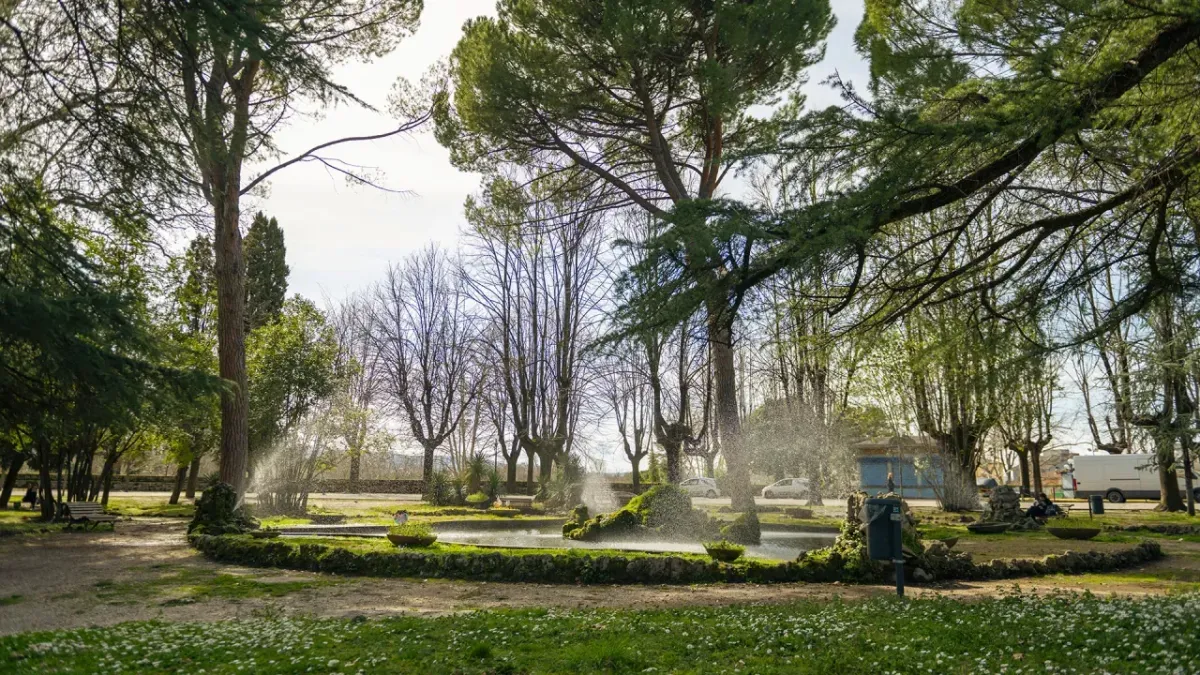 Terni, taglio degli alberi alla Passeggiata: l'assessore Iapadre risponde alle polemiche