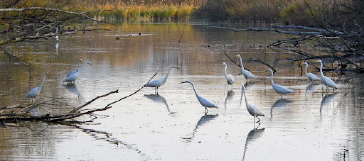 Le riserve naturali dell'Umbria come non le avete mai viste: luoghi incontaminati, percorsi esperienziali e meraviglie tutte da scoprire