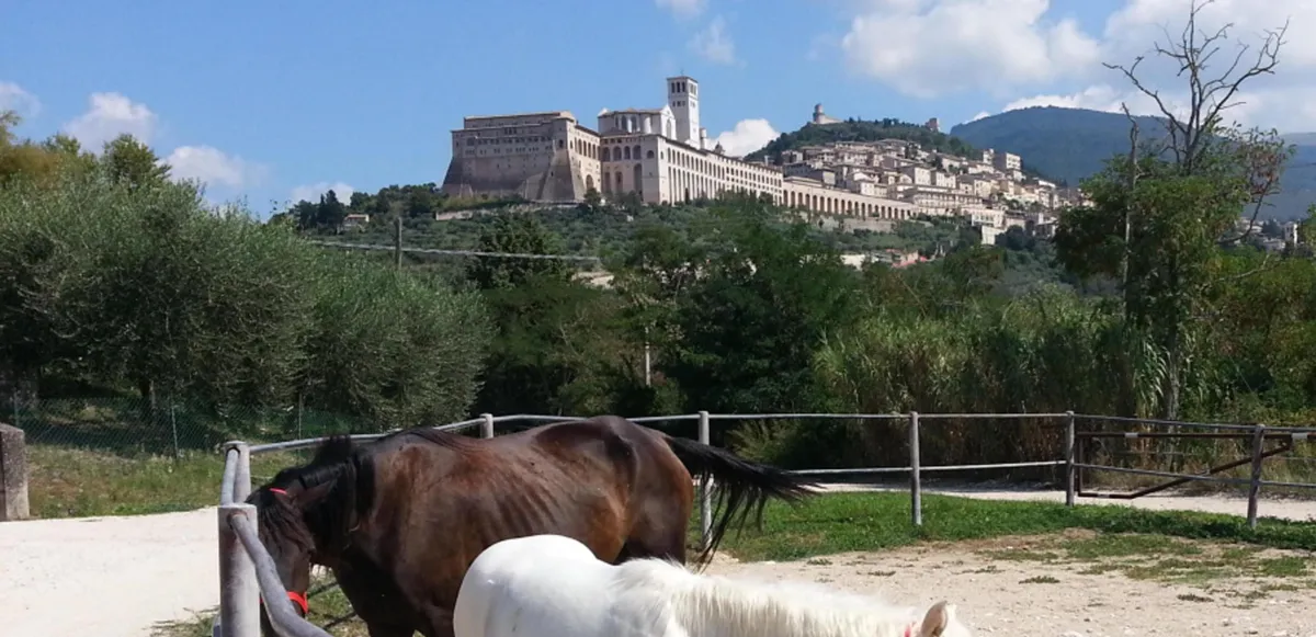 Torna la 'Cavalcata di Satriano', 80 cavalieri da Nocera Umbra ad Assisi per ricordare l'ultimo viaggio di San Francesco