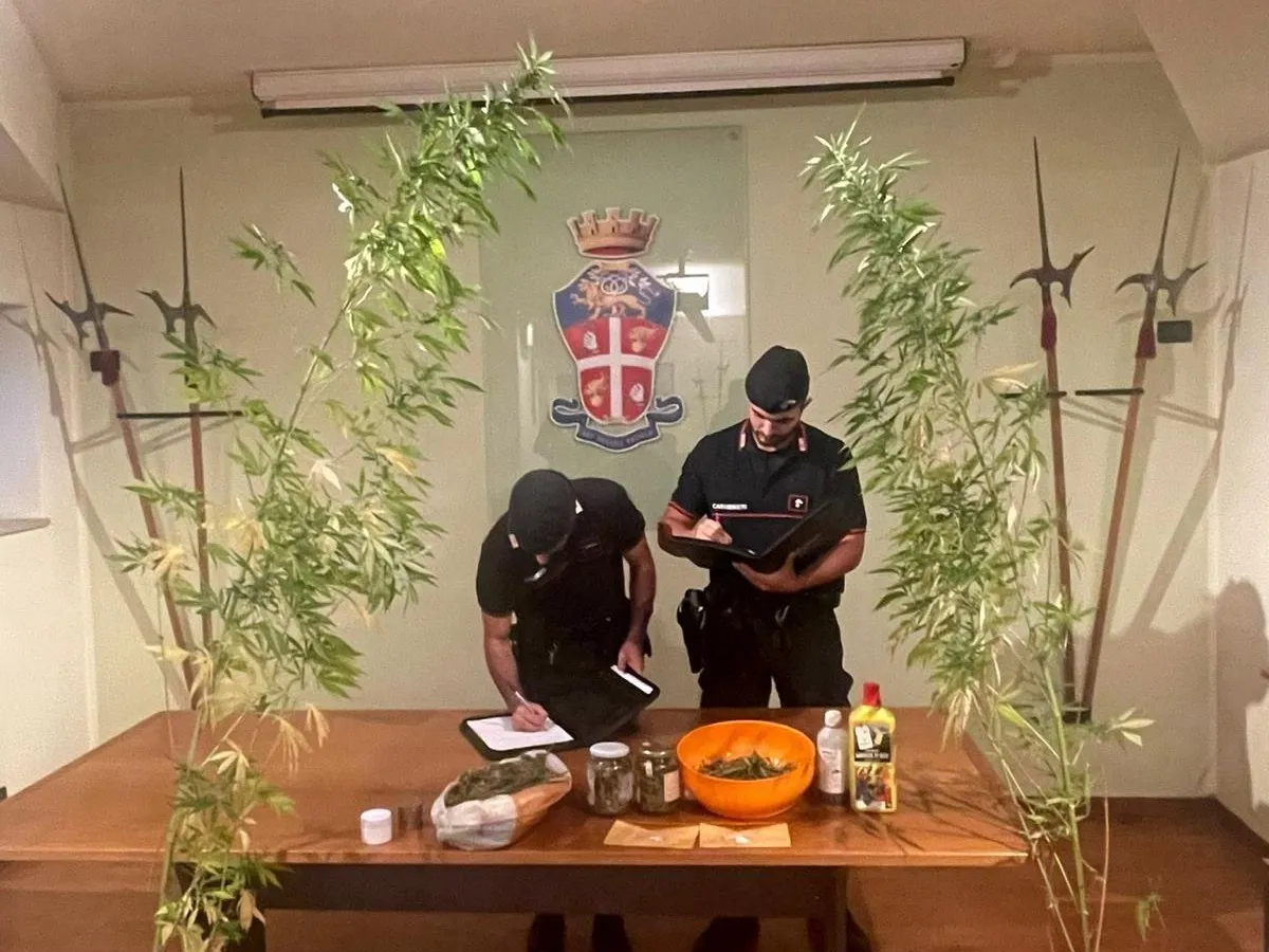 Fontivegge, 41enne arrestato per spaccio: aveva piante di canapa e marijuana in casa