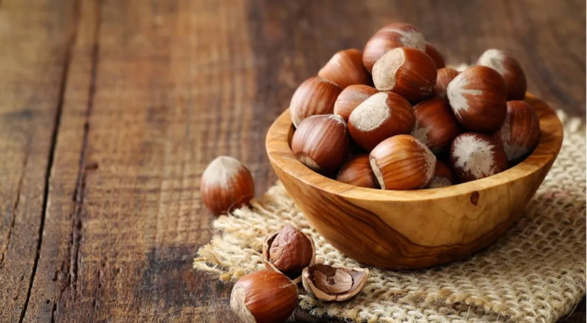 Gualdo Tadino riscopre la tradizione: torna la Fiera delle Nocchie, la festa delle nocciole e dell’autunno
