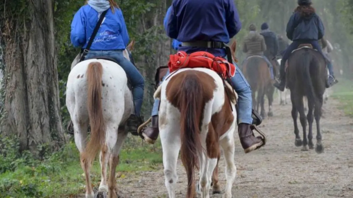 Città di Castello: via libera all’ippovia della Via di Francesco, un itinerario a cavallo fino ad Assisi
