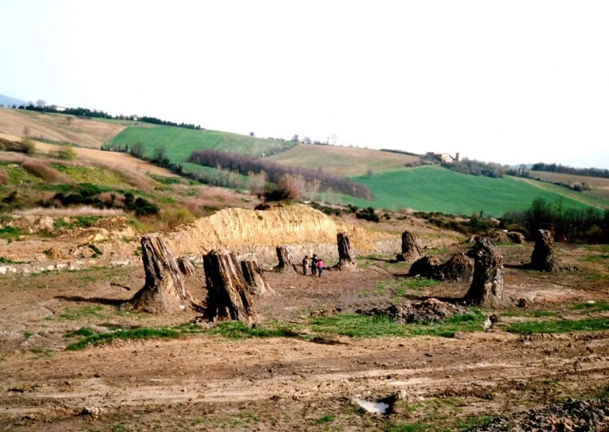 Dalle faggete vetuste alle querce monumentali: un viaggio negli antichi boschi dell'Umbria, custodi di biodiversità, misteri e tradizioni senza tempo