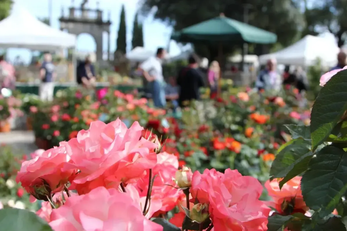 Settembre in Umbria: tra fiere di paese, mercati dell'artigianato e manifestazioni enogastronomiche, ecco gli eventi imperdibili del mese