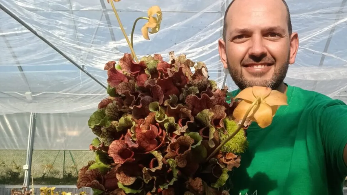 Esotik Garden riapre a Gualdo Tadino: piante carnivore rare e ornamentali uniche nel vivaio di Valerio Righi