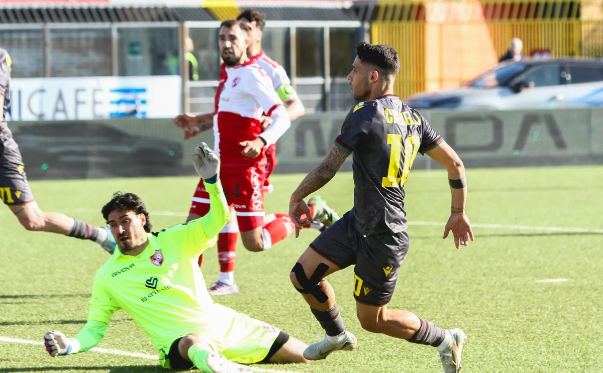 Rimini-Ternana, tutto risolto: si gioca regolarmente allo stadio Neri