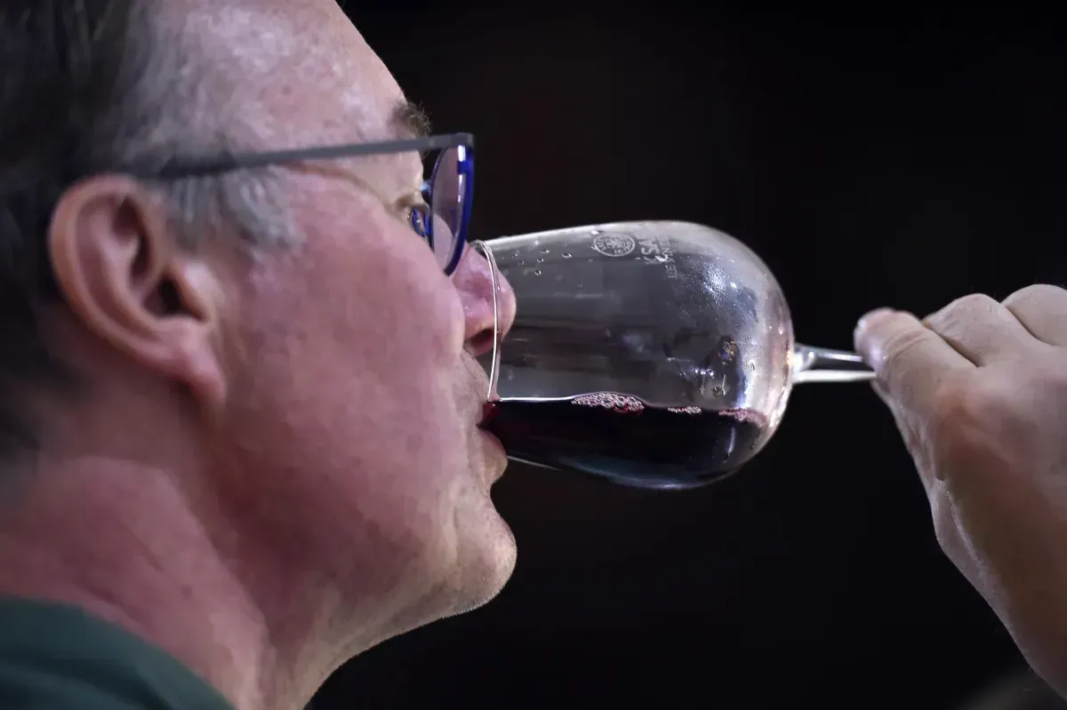 Un mese tra calici e sapori: settembre in Umbria tra eventi dedicati al vino, rassegne enogastronomiche e percorsi di degustazione nelle cantine del territorio