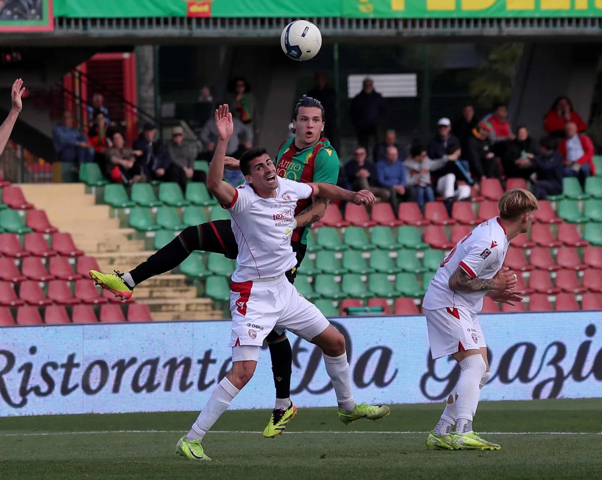 Ternana-Carpi, le probabili formazioni: mister Liverani opta per il doppio attaccante?