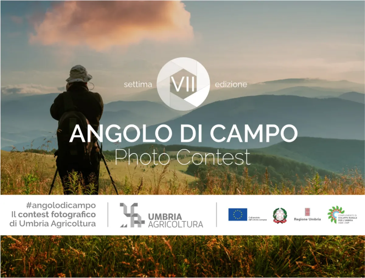 Il Lago Trasimeno raccontato attraverso l'obiettivo: successo per la VII edizione della rassegna fotografica "Angolo di Campo"