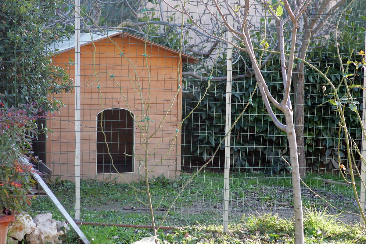 Assisi, mise i bambini nella cuccia del cane: chiesto il processo per il padre