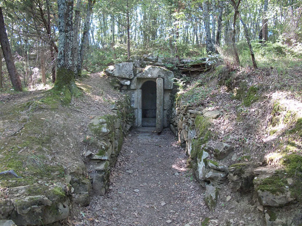 Tomba del Faggeto di Perugia: escursione tra archeologia e natura con Porta Sole