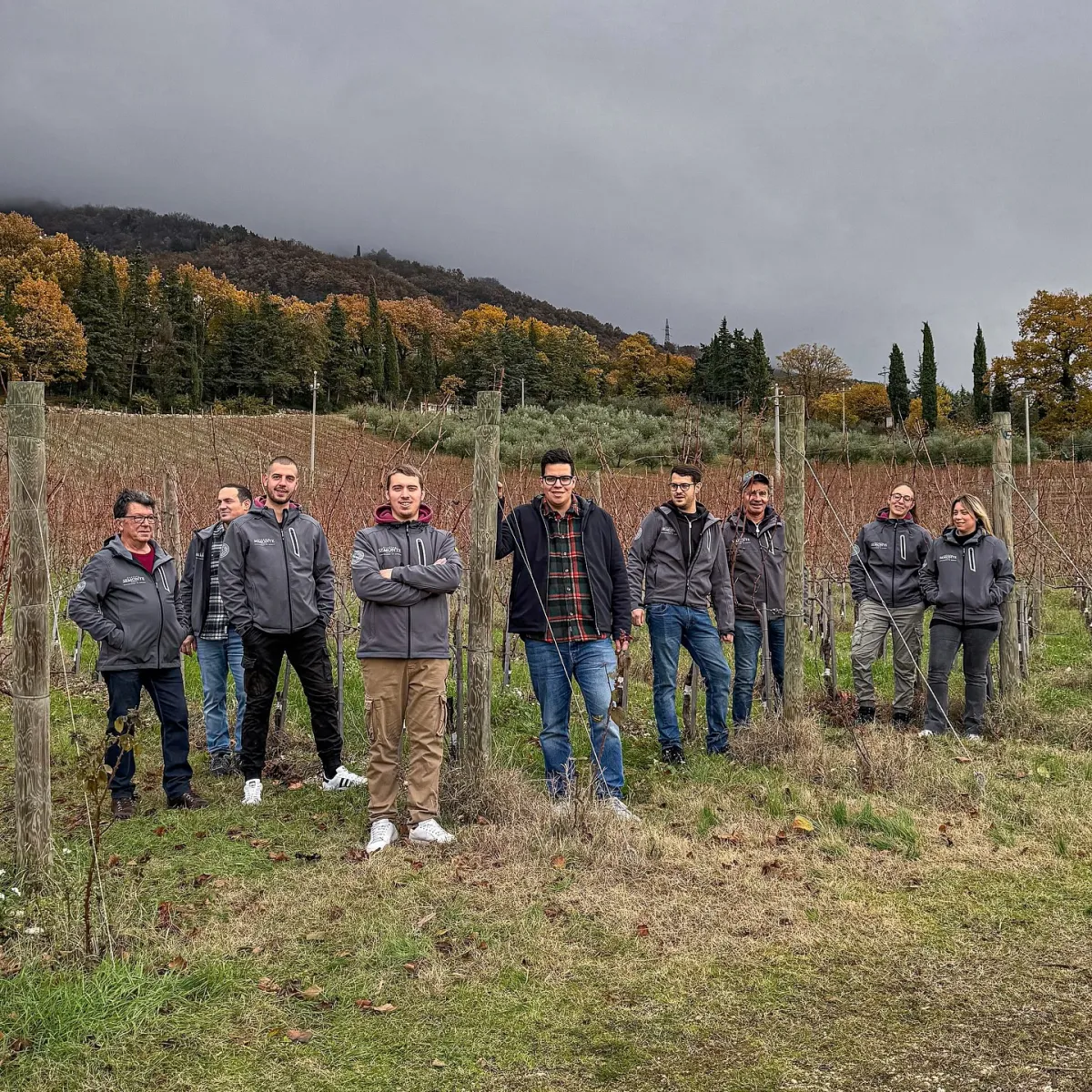 Vendemmia 2025 a Gubbio: qualità, sostenibilità e innovazione alla Cantina Semonte