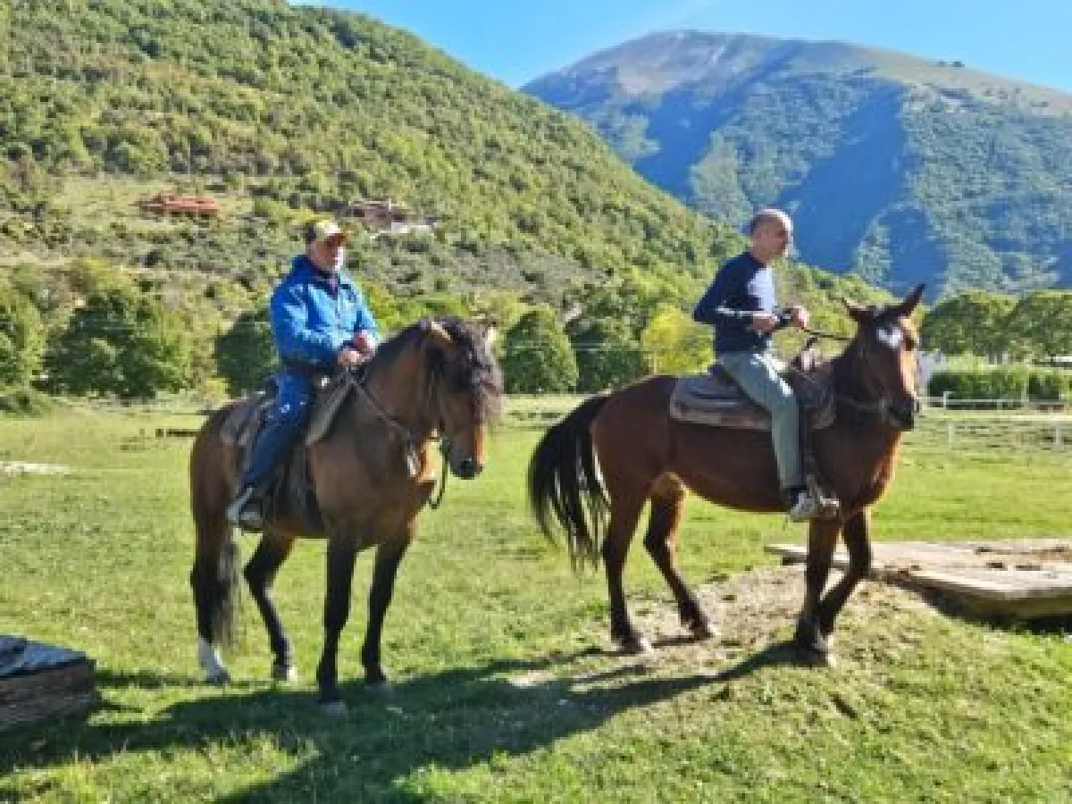 Cavallo del Catria, identità e futuro: Cantiano Fiera Cavalli 2025 celebra la razza autoctona delle Marche