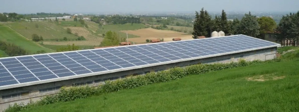 Maxi impianto agrivoltaico di Magione: il Tar Umbria dichiara illegittimo il silenzio del Mase