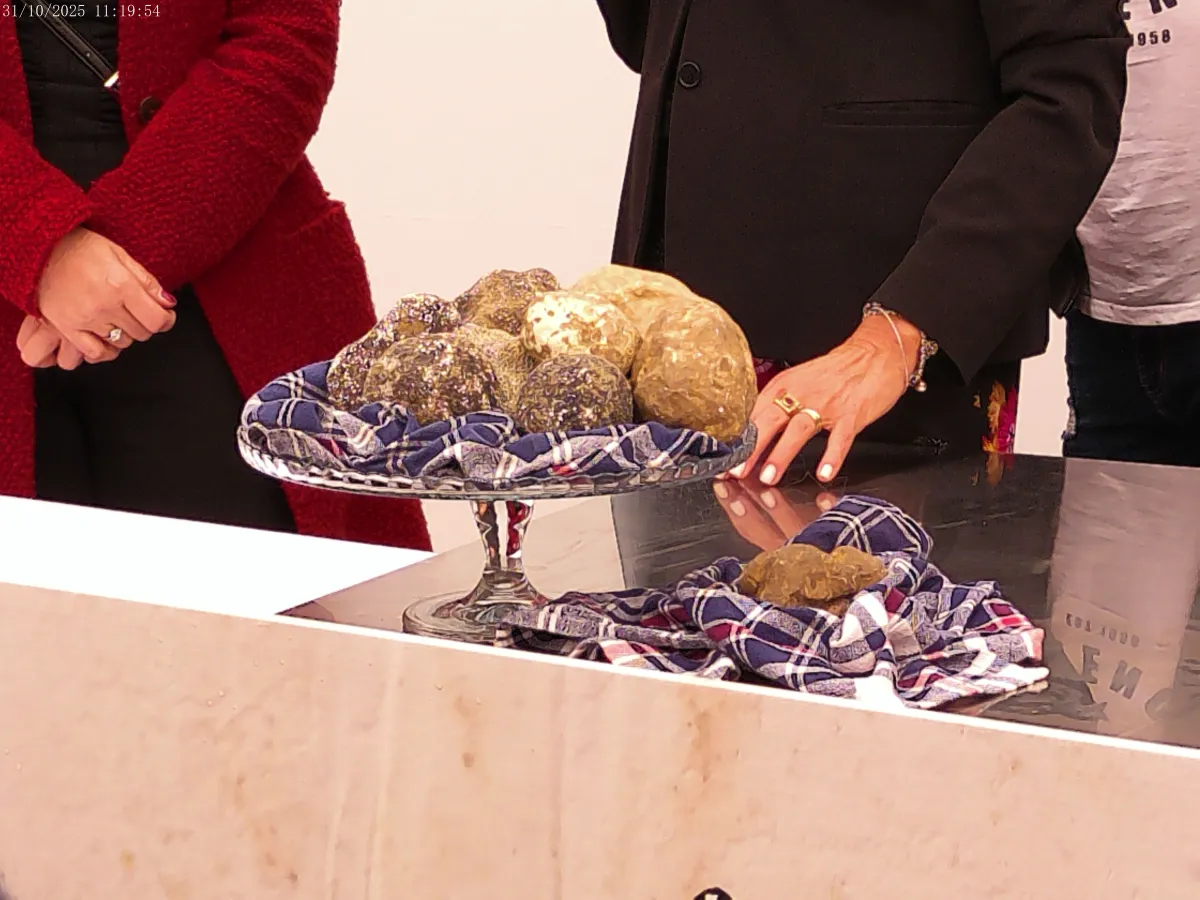 Gubbio celebra il tartufo: inaugurata la 44ª Mostra Mercato del Tartufo Bianco