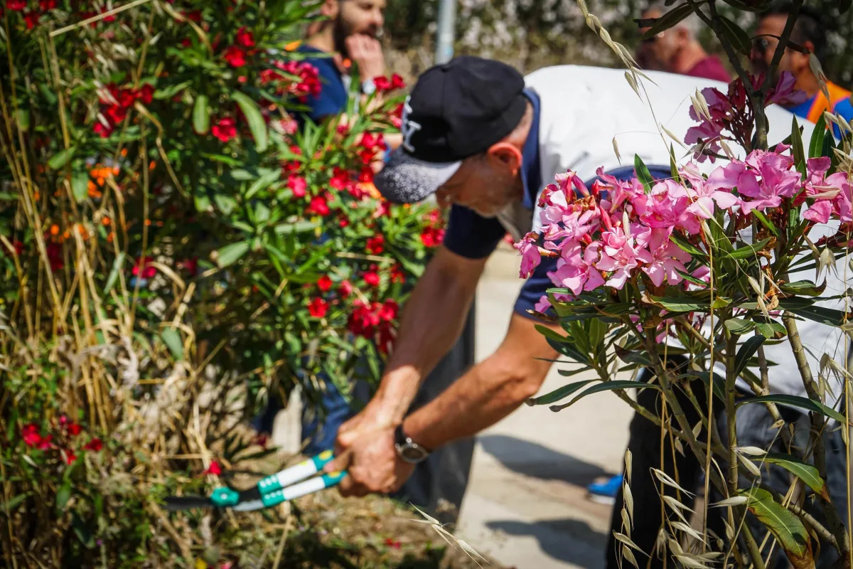 Gubbio, successo per il progetto “Adotta una rotonda”: aziende e associazioni ridisegnano l’arredo urbano