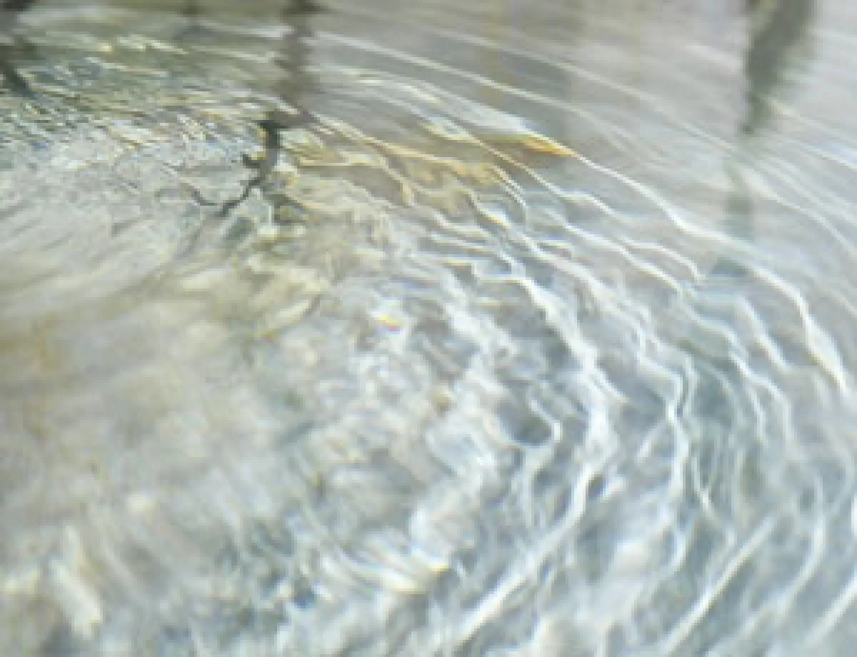 Sorgenti di Bagnara, la Regione punta su sicurezza idrica e tutela del fiume Topino