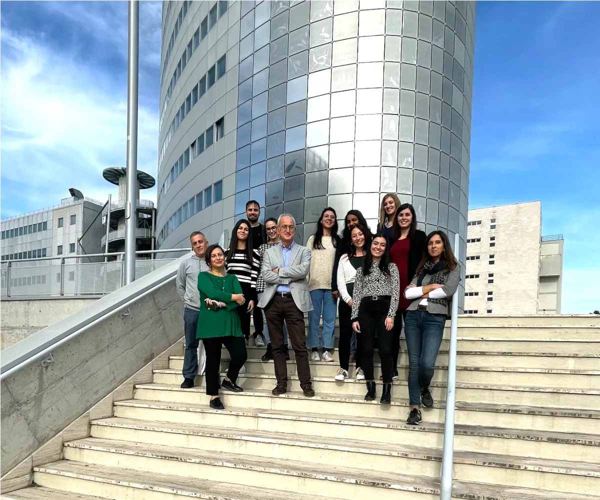 Diabete, scoperto all'Università di Perugia il “freno difettoso” delle piastrine: così aumenta il rischio di trombosi