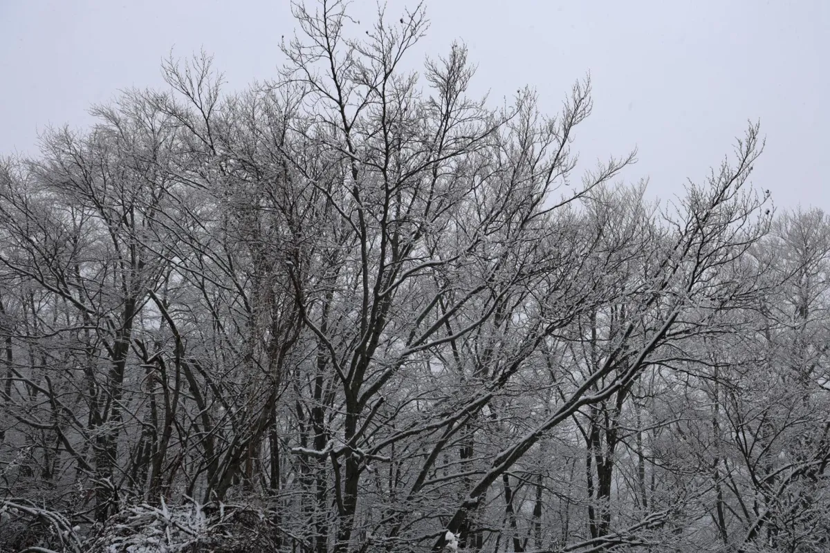 Meteo in Umbria, dal 17 novembre arriva l'instabilità. Attesa la prima neve sull'Appennino a metà settimana