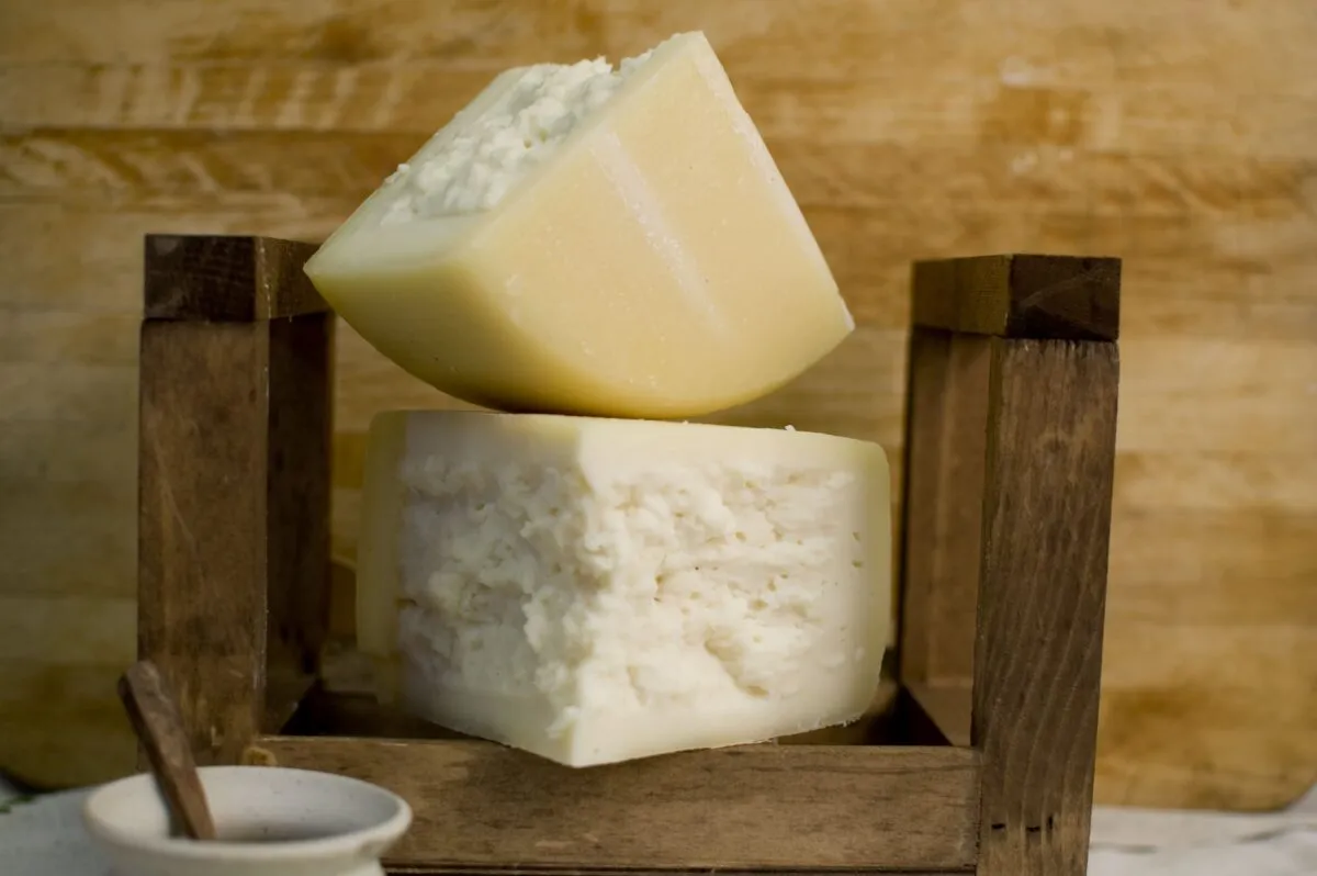 L’Umbria dei formaggi, tutti i vincitori dell’edizione 2025