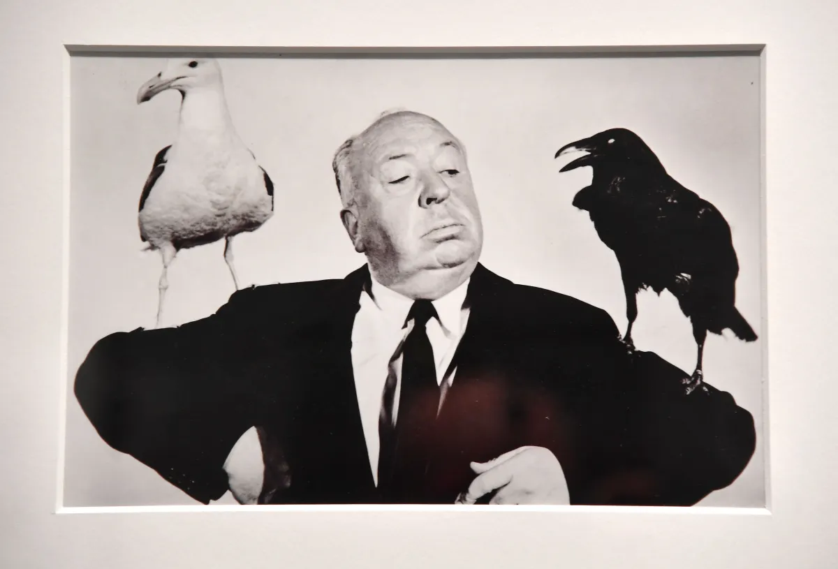 Giallo Natale 2025, a Gubbio torna il festival del mistero: tre giorni tra true crime, horror e indagini nell’oscurità