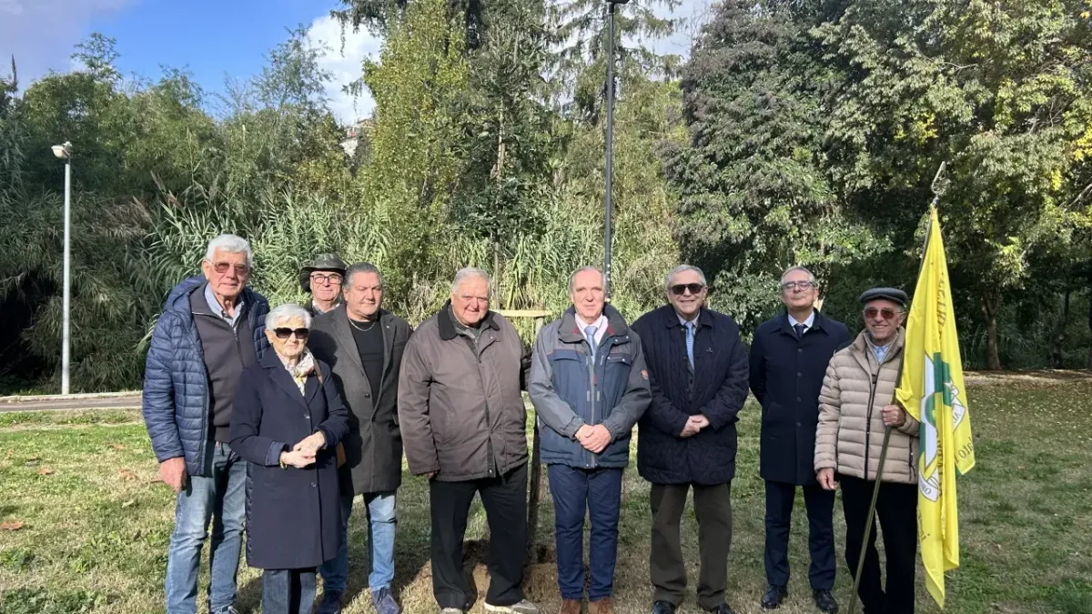Un leccio per Terni: il dono dei Maestri del Lavoro nella Giornata nazionale degli Alberi